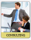 Consulting