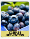 Disease Prevention